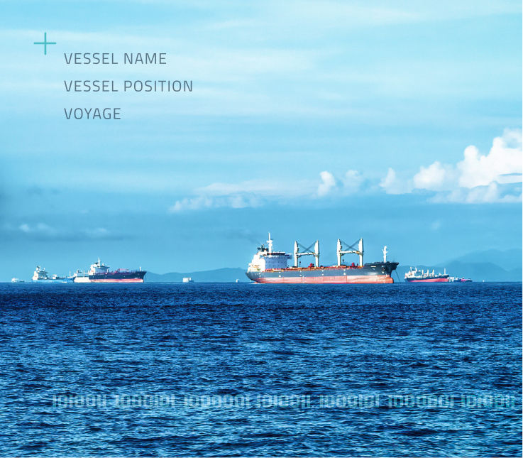 Vessel Tracking Vessel Tracking